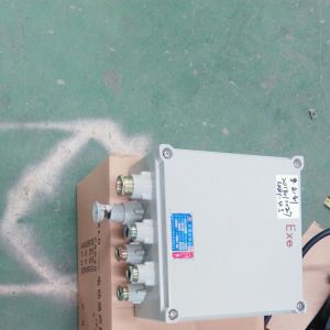 2018010027  LXB1��4.5